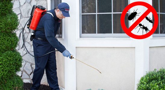 Yerköy Tahtakurusu İlaçlama böcek ilaçlama ve haşere kontrolü — ilaclama-tr.com